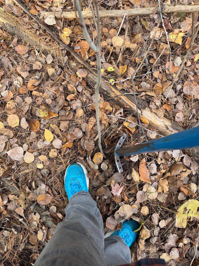 [Thumbnail for plantingProcess03.jpg]