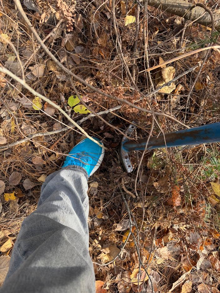 [Thumbnail for plantingProcess02.jpg]