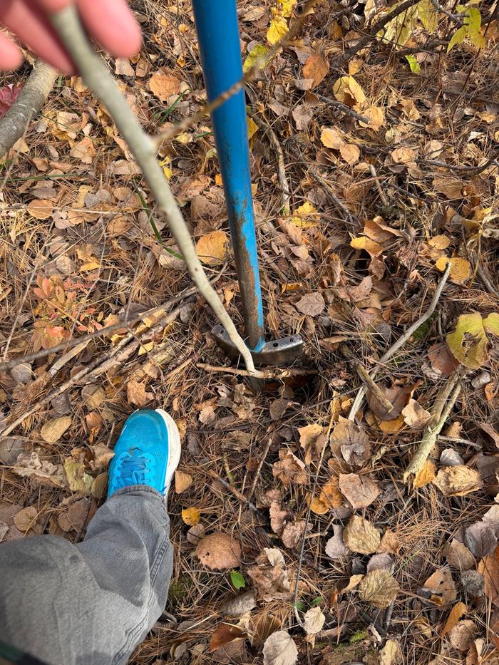 [Thumbnail for plantingProcess01.jpg]