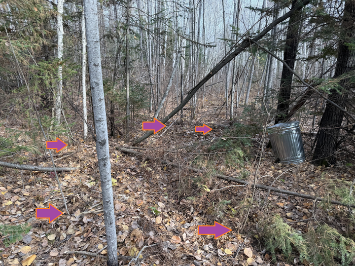 [Thumbnail for planted.png]