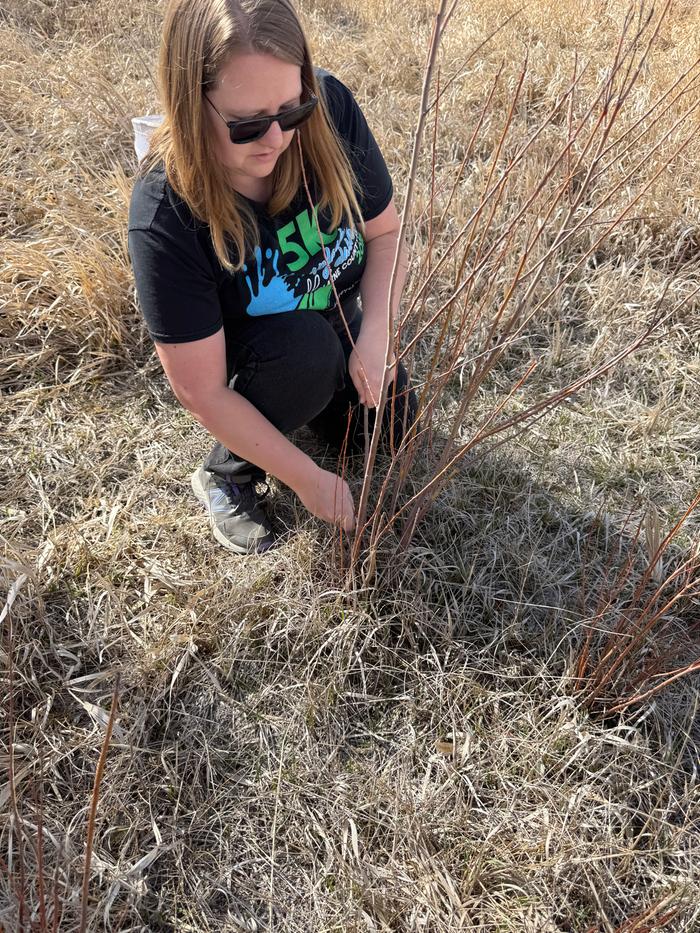 Finding the cuttings