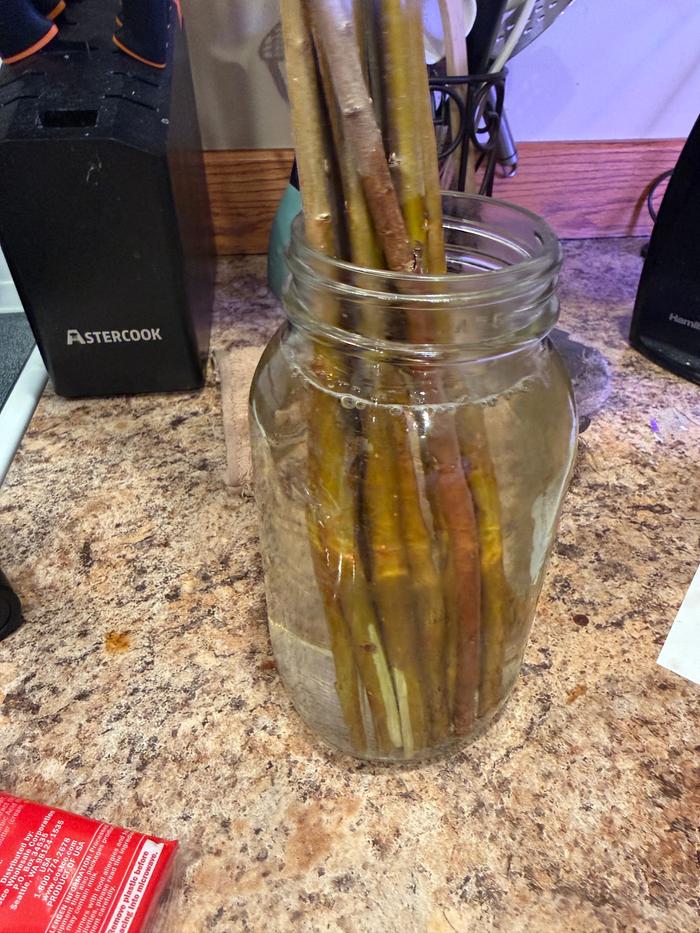 Just waiting till the next day