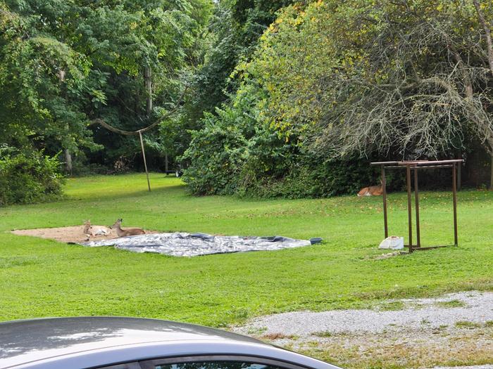 [Thumbnail for 20220920_173849.jpg]