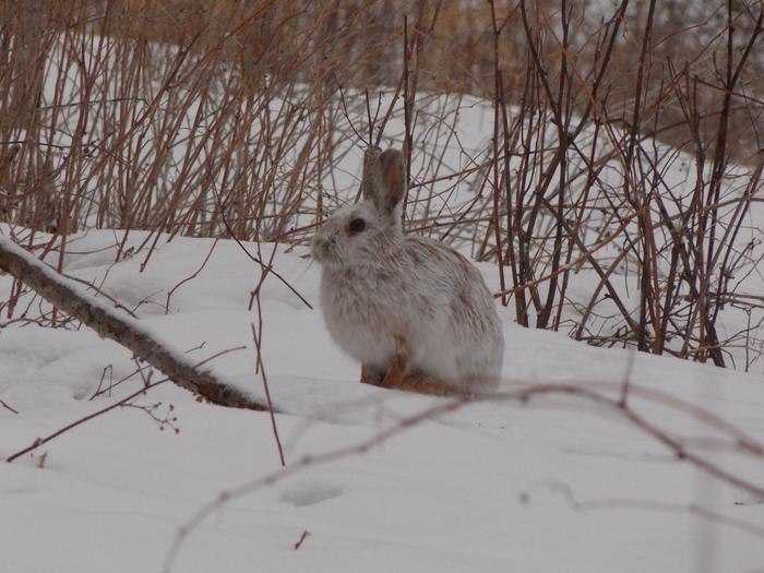 [Thumbnail for DSCN0544.JPG]