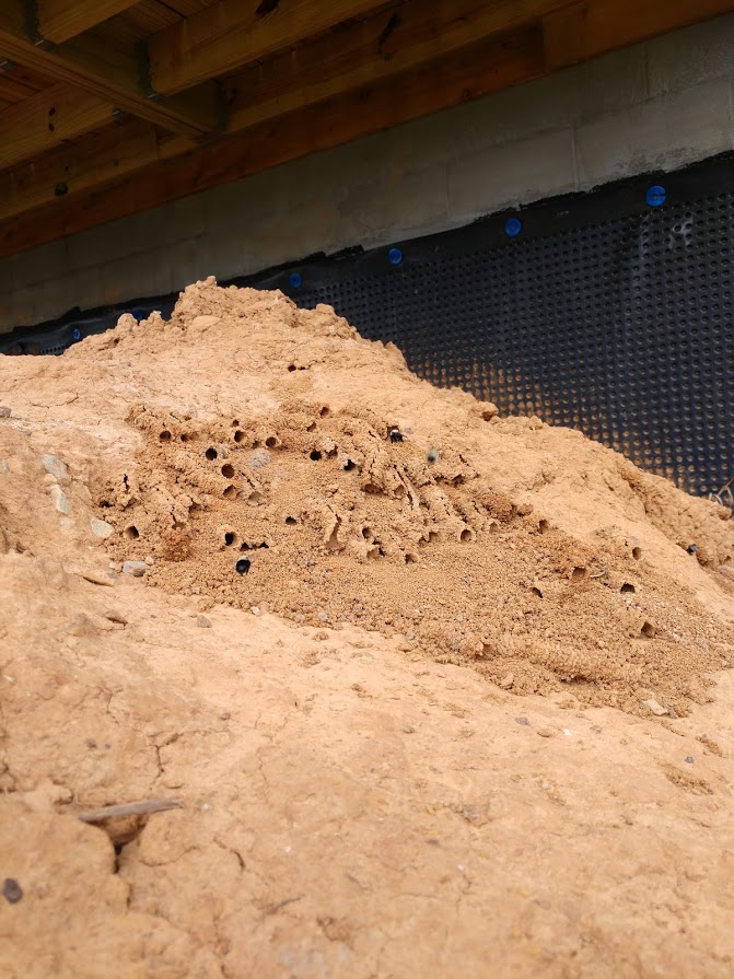 [Thumbnail for IMG_20190522_134632885_BURST010.jpg]