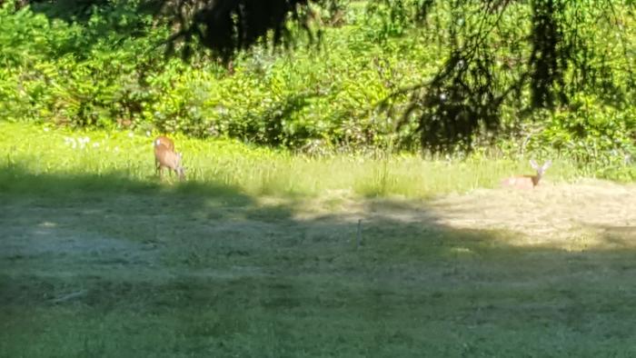 [Thumbnail for 20190618_172507.jpg]