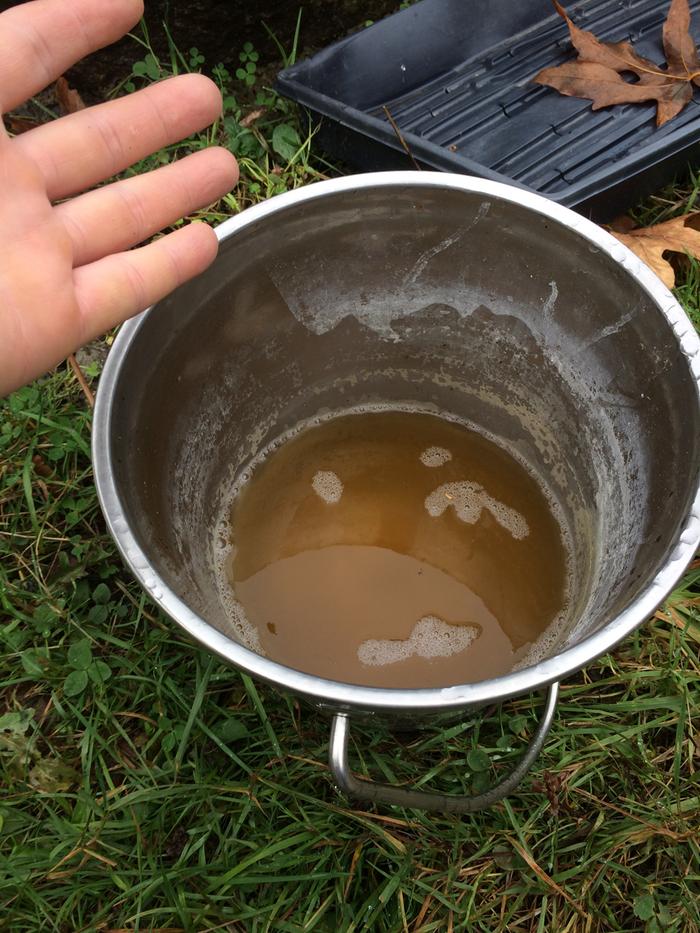 Pee collected from overnight