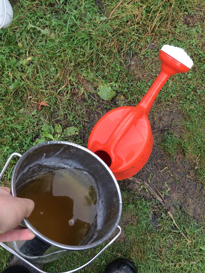 Adding to watering can