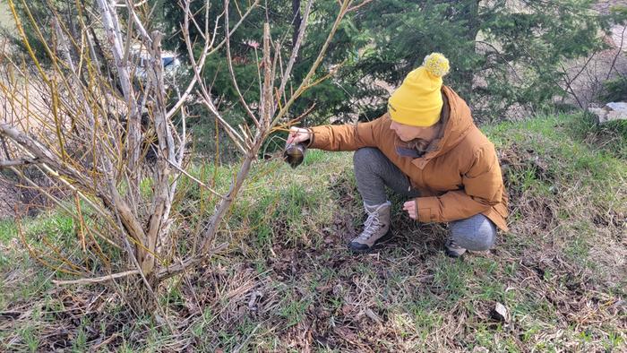 [Thumbnail for ee450d6b-88f6-459e-8ea4-2971ccb950d7.jpeg]