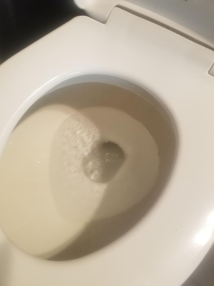 leaky toilet