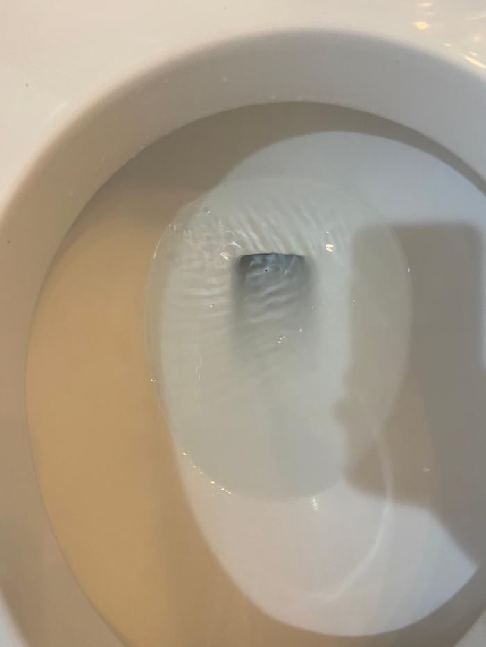 [Thumbnail for 1_Before-shot-of-the-leaky-toilet.JPG]
