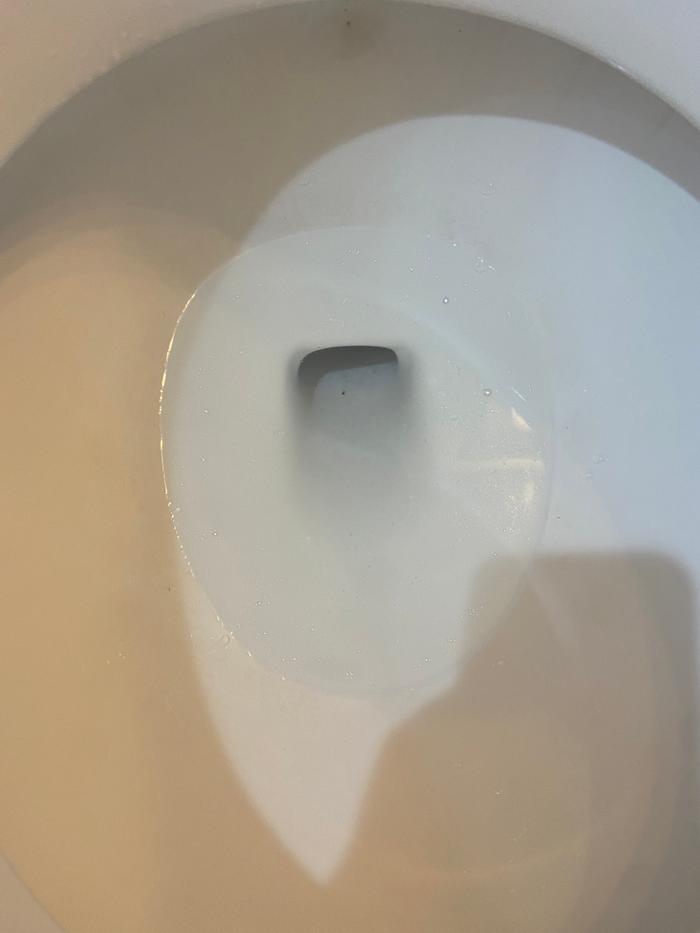[Thumbnail for 3_After-shot-of-the-no-longer-leaky-toilet.JPG]
