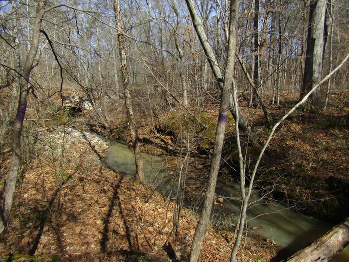 our creek - not fancy, not potable, but it IS water...