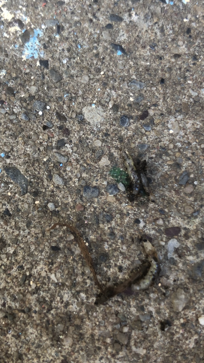 [Thumbnail for C5F3F684-0A67-4C4F-82B2-83E621572E32.png]