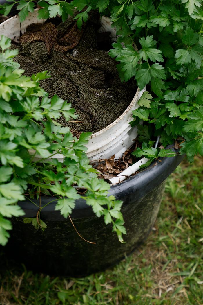 DIY in-groud worm bucket with recycled wool worm blanket