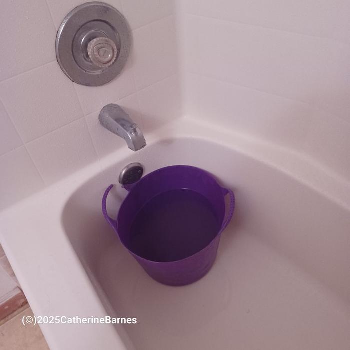 [Thumbnail for Pooless-shower-water-at-least-3-gal.jpg]