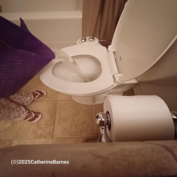 [Thumbnail for Flushing-toilet-with-pooless-water.jpg]