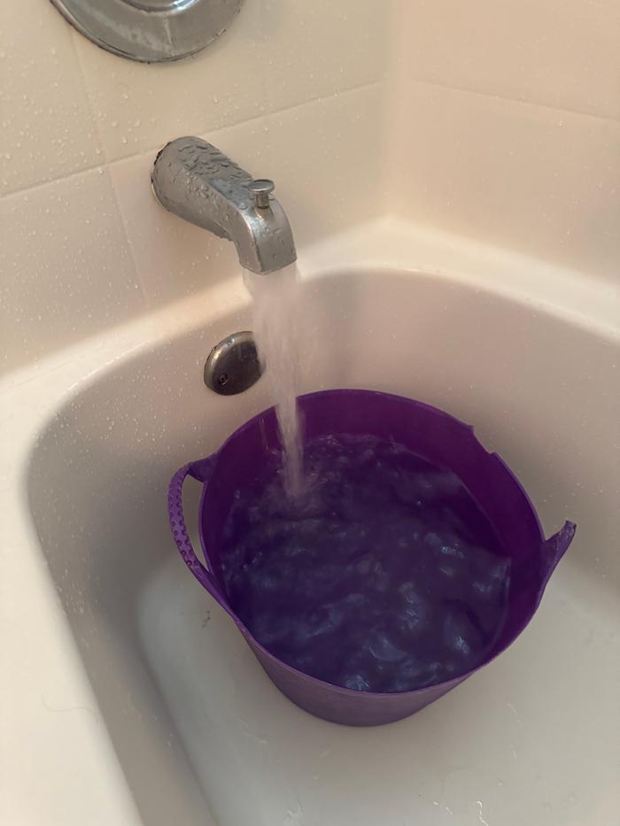 [Thumbnail for IMG_5172.jpeg]