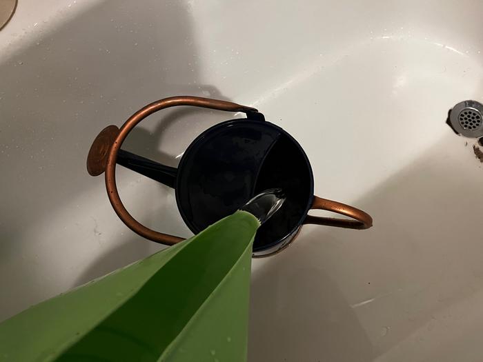 Day 1: Pouring in watering can