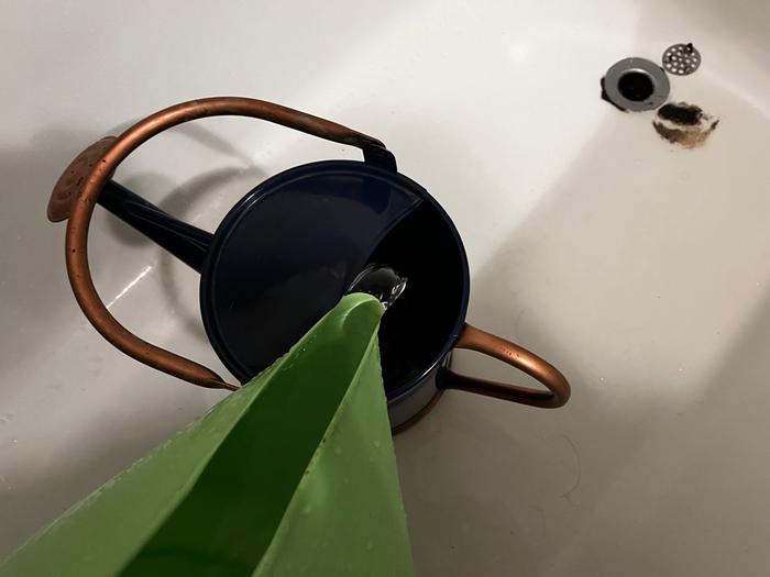 Day 2: Pouring in watering can