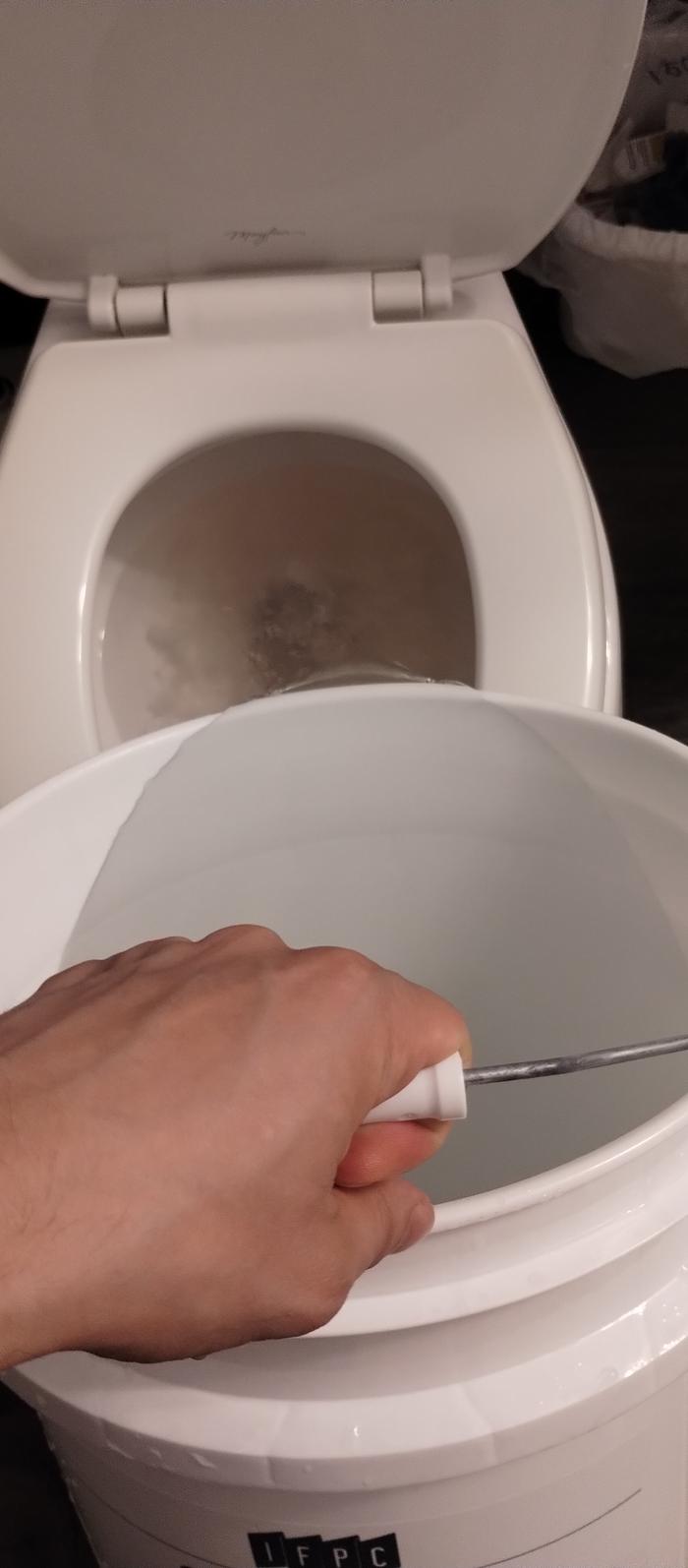 flushing toilet
