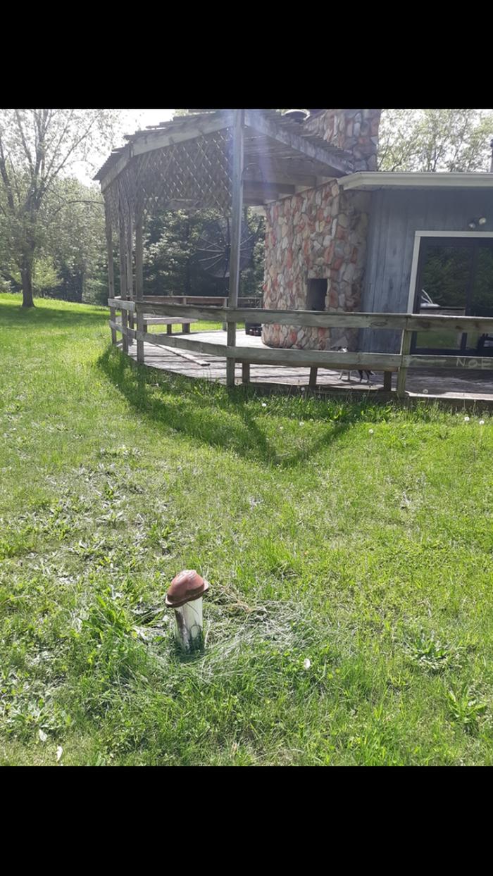 [Thumbnail for Screenshot_20190526-153410_Gallery.jpg]