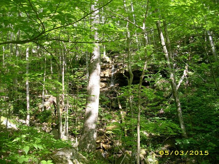 [Thumbnail for Cumberland-Trail-Cross-Mnt-waterfall.JPG]