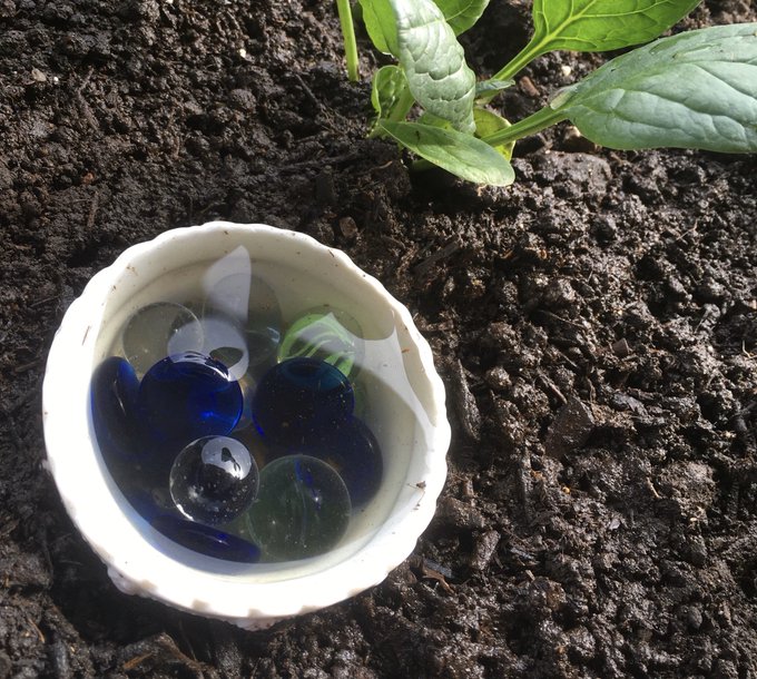 bee watering hole