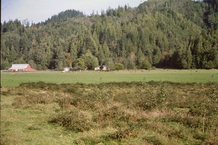 [Thumbnail for Site-of-Original-Haring-Barn-North-Fork-Siuslaw-Lane-County-Oregon.jpg]