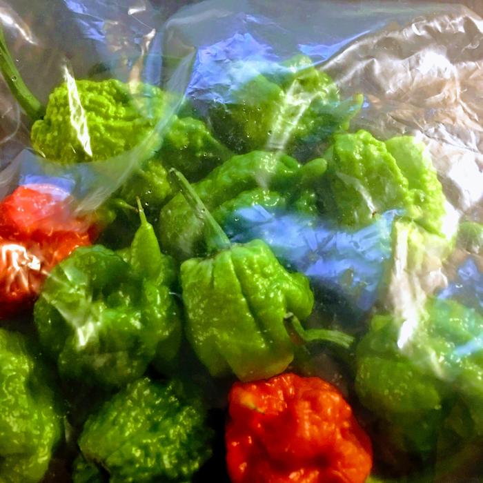 [Thumbnail for IMG_8755.JPG]