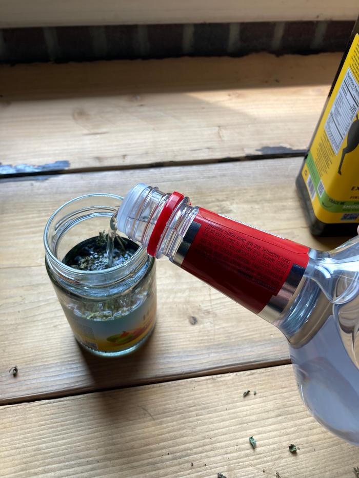 Making oregano leaf tincture