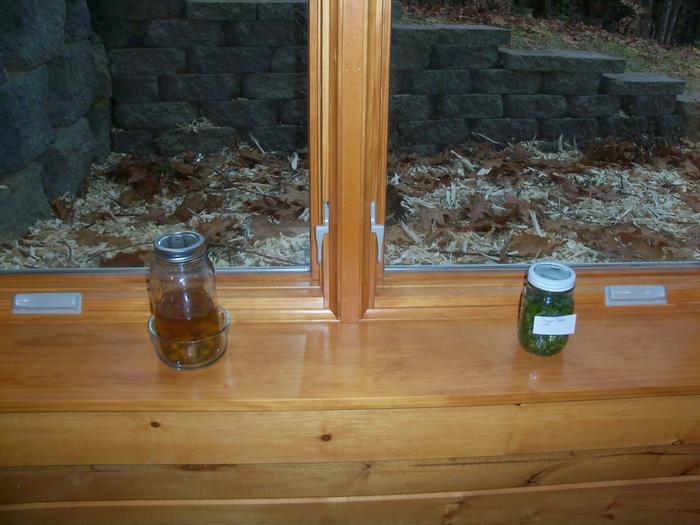 Brewing (jar on the right)