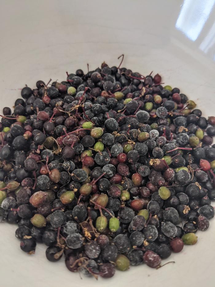 Frozen berries are easier to de-stalk