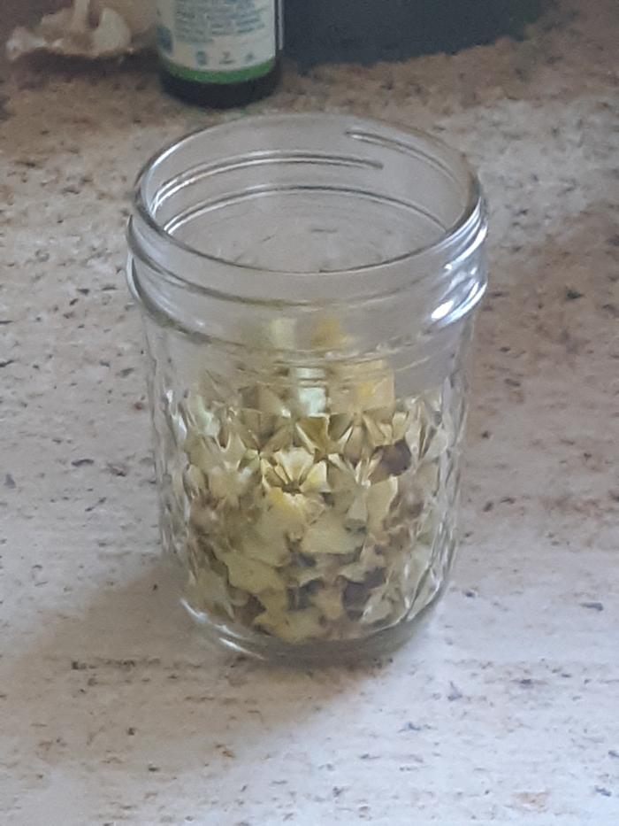 Mullein flowers in jar