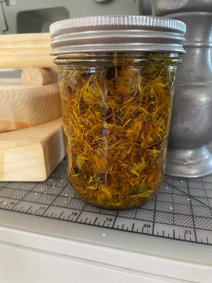 Calendula infusing in olive oil