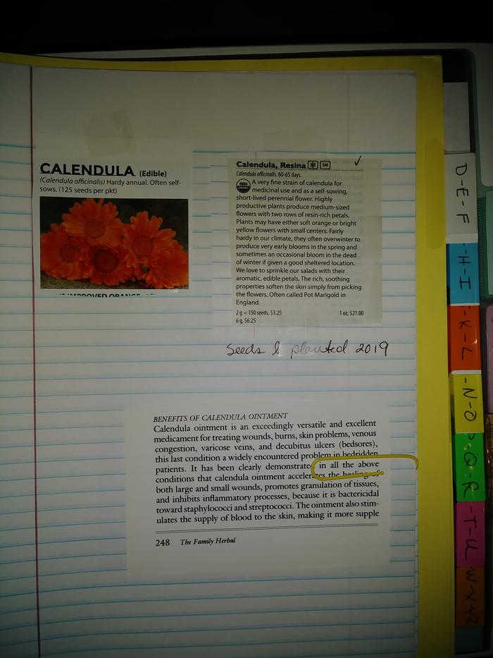 calendula info