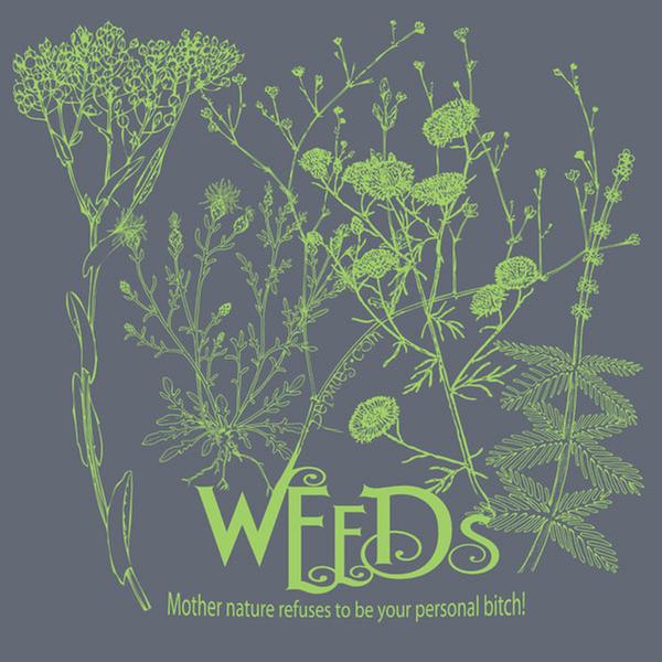 [Thumbnail for Weeds-tee-personal-Bitch-graphite-with-green-print.jpg]