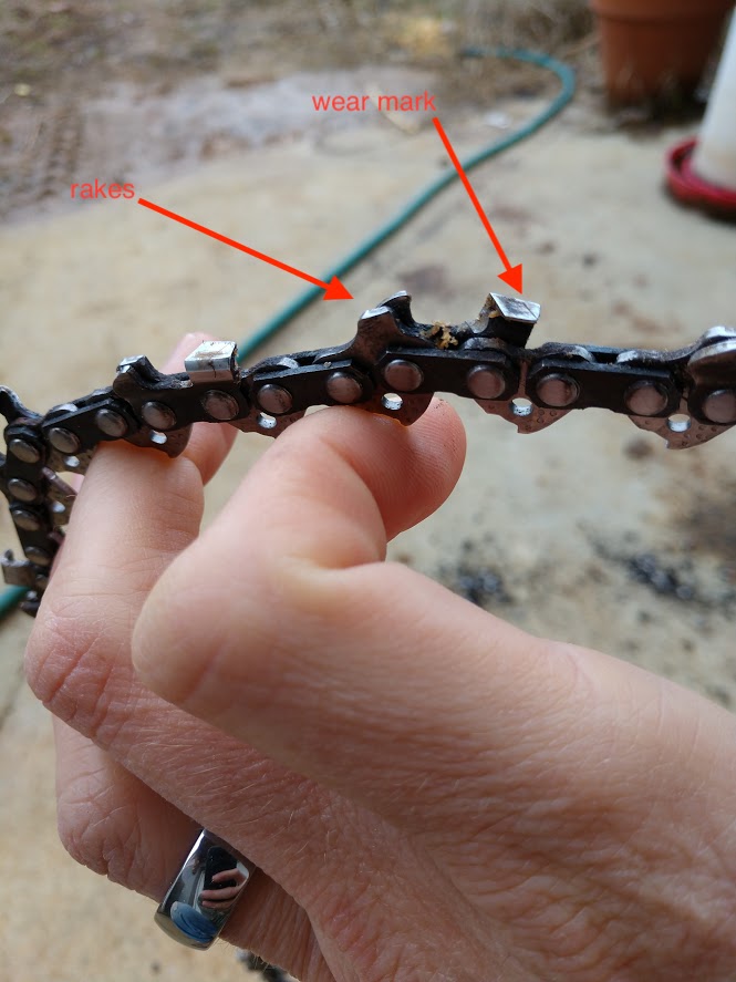 rake and tooth. wear mark is the little line etched on top of the cutting tooth