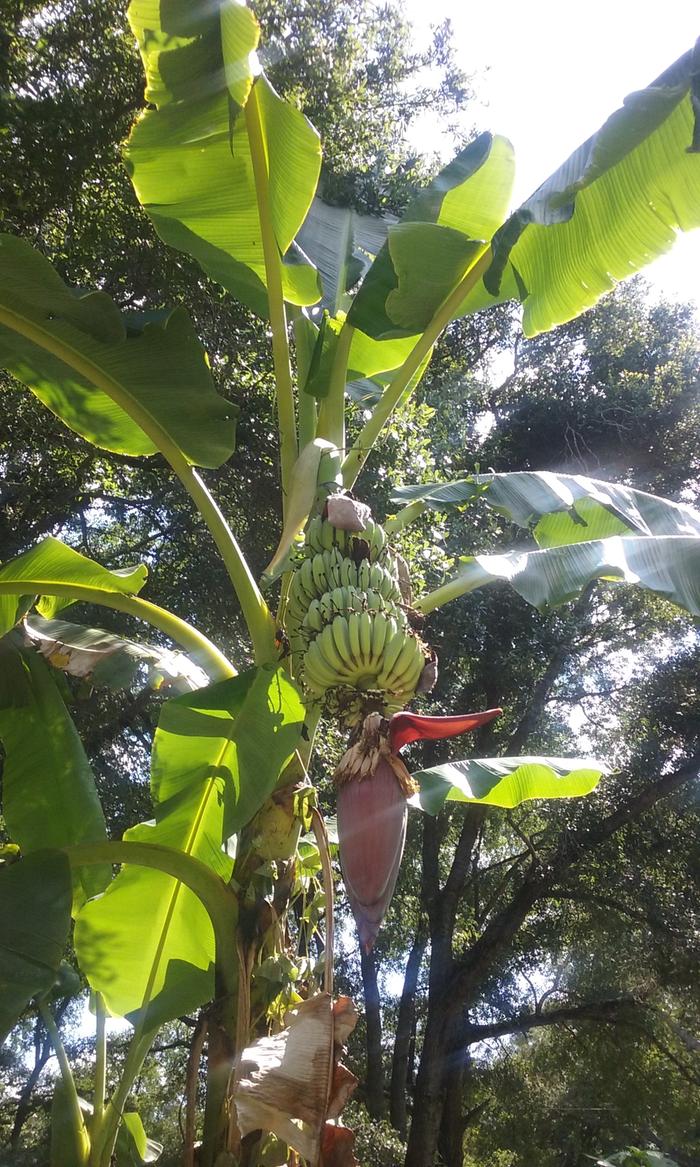 [Thumbnail for 20190626_160632.jpg]