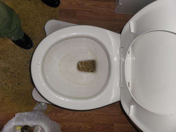 Flushed the toilet!