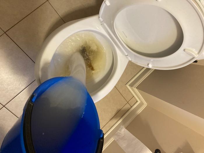 Flushing the toilet