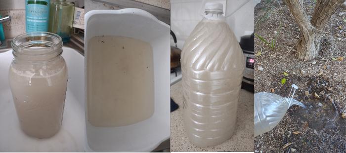 [Thumbnail for dishwater-gallon-3.jpg]