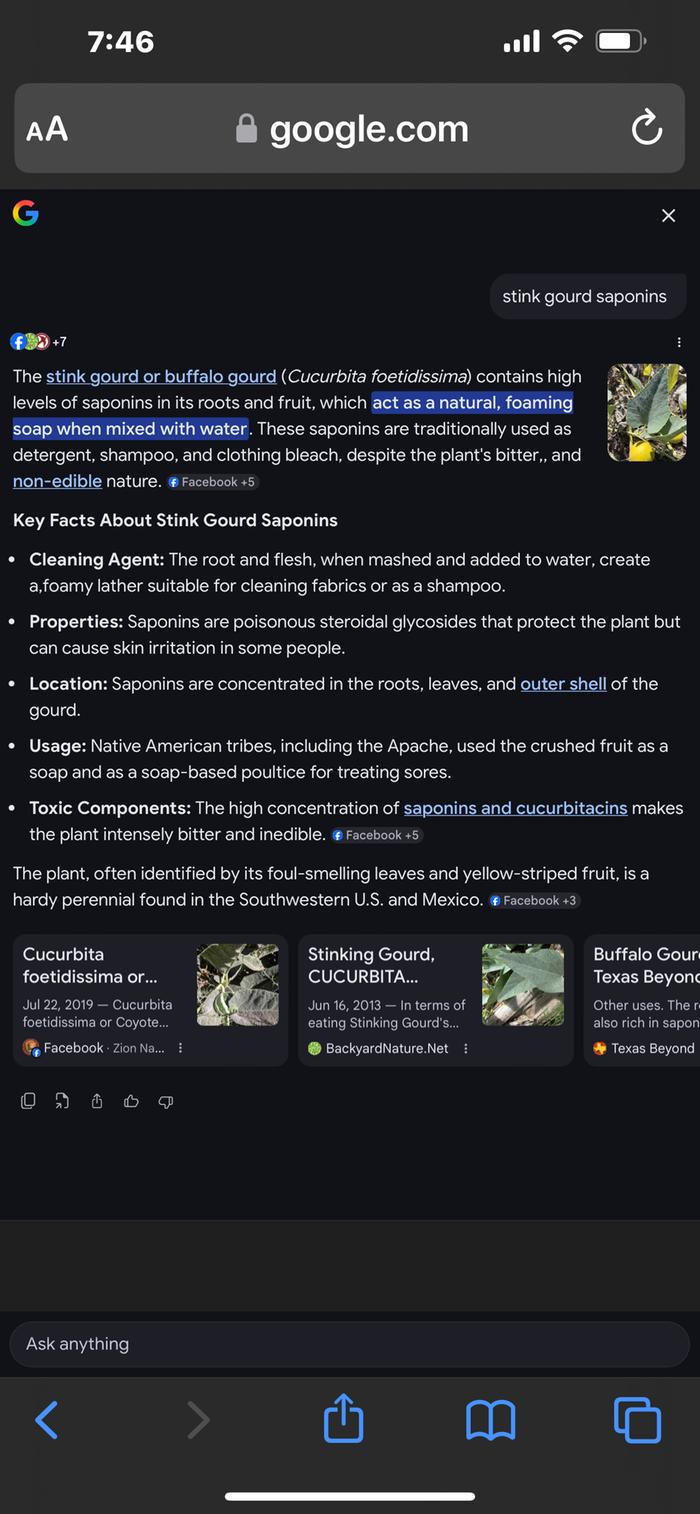 [Thumbnail for IMG_9626.png]