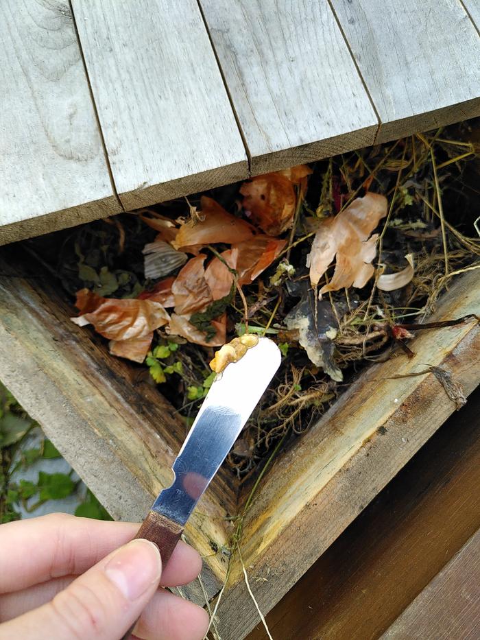 Putting waste in compost
