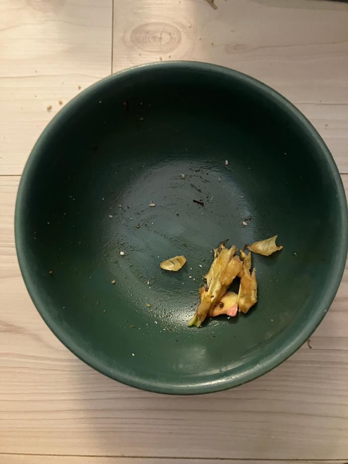 Oily bowl with food scraps