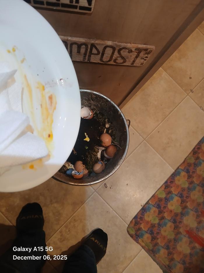 [Thumbnail for 20251206_213131.jpg]