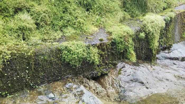 mossy storm water control meets rocky riverbed