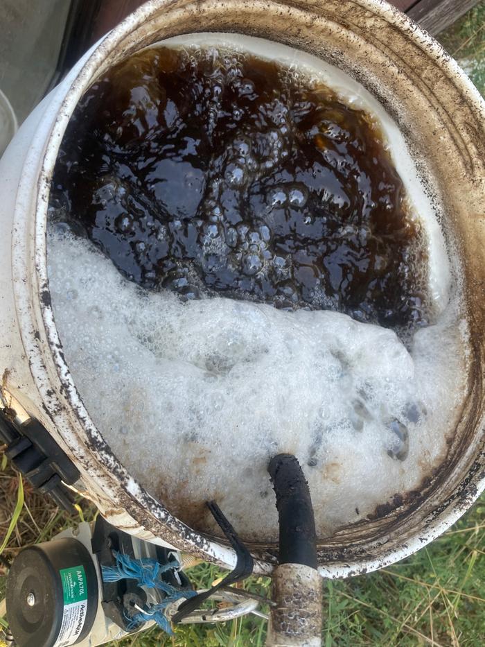 brewing