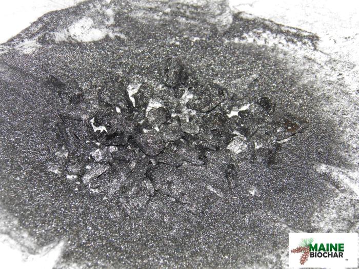 [Thumbnail for moist-soft-wood-biochar-after-20-freeze-thaw-cycles.jpg]