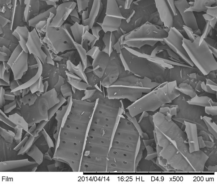 [Thumbnail for micrograph-of-moist-soft-wood-biochar-after-20-freeze-thaw-cycles.jpg]